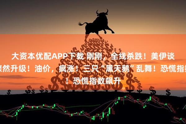 大资本优配APP下载 刚刚，全线杀跌！美伊谈判，骤然升级！油价，疯涨！三只“黑天鹅”乱舞！恐慌指数飙升